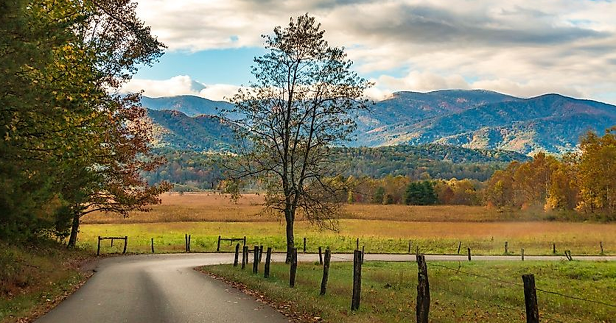 Autumn mountain landscape with a winding country road, fields and trees